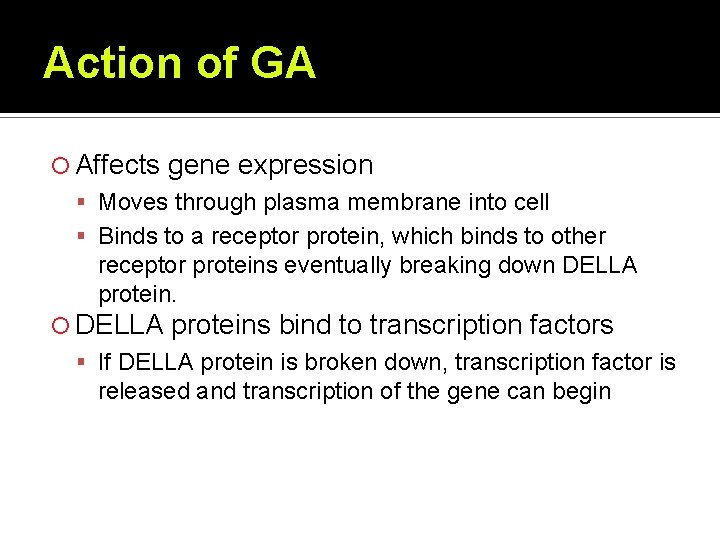 Action of GA Affects gene expression Moves through plasma membrane into cell Binds to