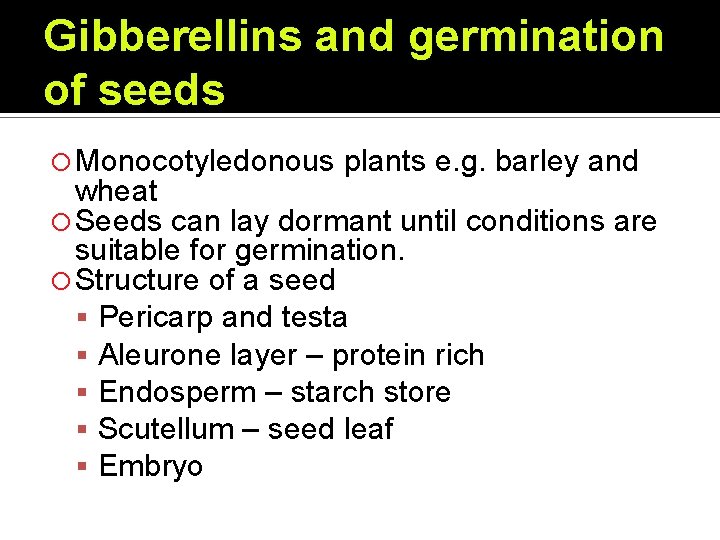 Gibberellins and germination of seeds Monocotyledonous plants e. g. barley and wheat Seeds can