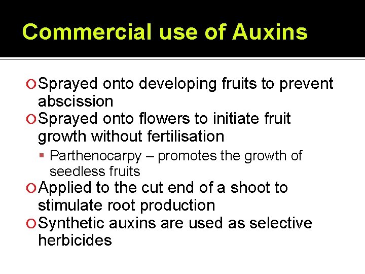 Commercial use of Auxins Sprayed onto developing fruits to prevent abscission Sprayed onto flowers Commercial use of Auxins Sprayed onto developing fruits to prevent abscission Sprayed onto flowers