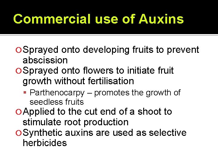 Commercial use of Auxins Sprayed onto developing fruits to prevent abscission Sprayed onto flowers