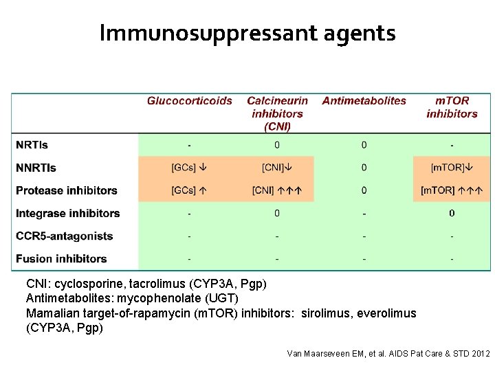 Immunosuppressant agents CNI: cyclosporine, tacrolimus (CYP 3 A, Pgp) Antimetabolites: mycophenolate (UGT) Mamalian target-of-rapamycin