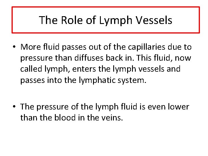 The Role of Lymph Vessels • More fluid passes out of the capillaries due