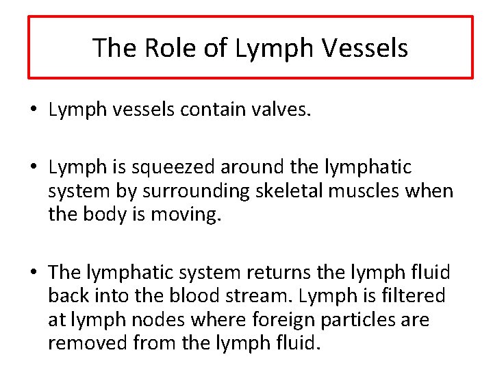 The Role of Lymph Vessels • Lymph vessels contain valves. • Lymph is squeezed