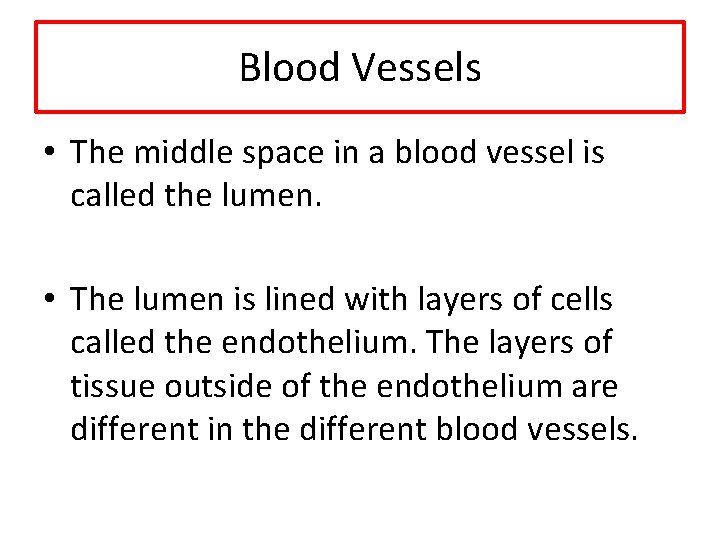 Blood Vessels • The middle space in a blood vessel is called the lumen.