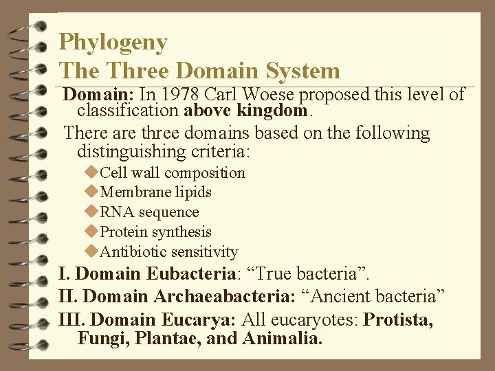 Phylogeny The Three Domain System Domain: In 1978 Carl Woese proposed this level of