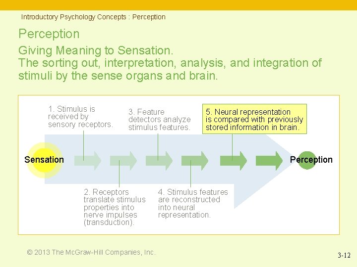 Introductory Psychology Concepts : Perception Giving Meaning to Sensation. The sorting out, interpretation, analysis,