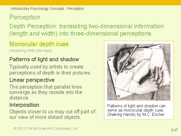 Introductory Psychology Concepts : Perception Depth Perception: translating two-dimensional information (length and width) into