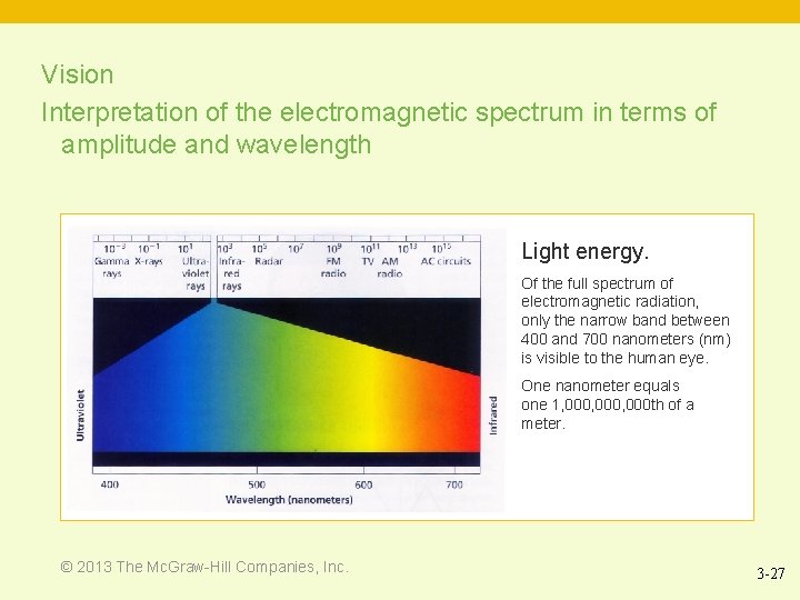 Vision Interpretation of the electromagnetic spectrum in terms of amplitude and wavelength Light energy.