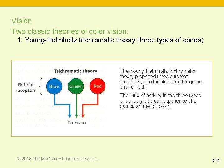 Vision Two classic theories of color vision: 1: Young-Helmholtz trichromatic theory (three types of