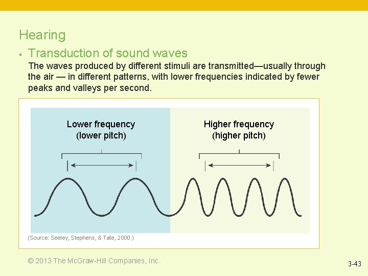 Hearing § Transduction of sound waves The waves produced by different stimuli are transmitted—usually