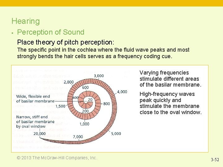 Hearing § Perception of Sound Place theory of pitch perception: The specific point in