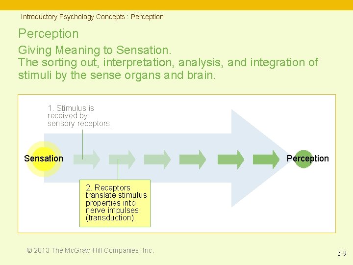 Introductory Psychology Concepts : Perception Giving Meaning to Sensation. The sorting out, interpretation, analysis,