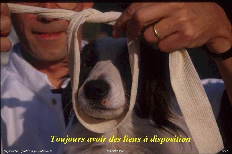 Toujours avoir des liens à disposition Préformation cynotechnique – Module C MAJ 01/02/08 10/91