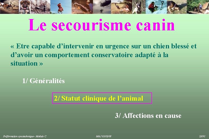 Le secourisme canin « Etre capable d’intervenir en urgence sur un chien blessé et