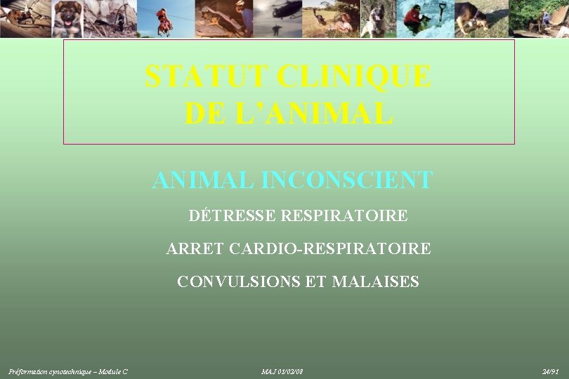 STATUT CLINIQUE DE L’ANIMAL INCONSCIENT DÉTRESSE RESPIRATOIRE ARRET CARDIO-RESPIRATOIRE CONVULSIONS ET MALAISES Préformation cynotechnique