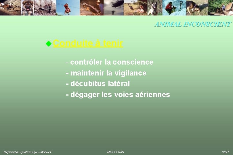 ANIMAL INCONSCIENT u Conduite à tenir - contrôler la conscience - maintenir la vigilance