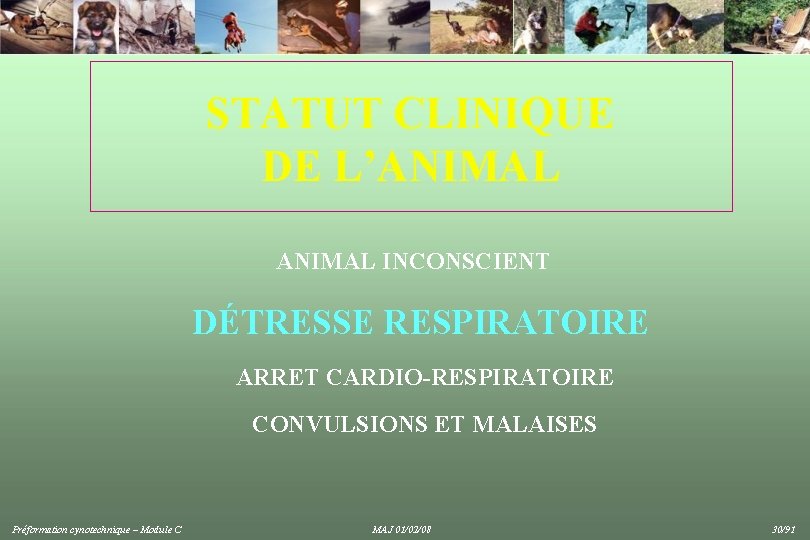 STATUT CLINIQUE DE L’ANIMAL INCONSCIENT DÉTRESSE RESPIRATOIRE ARRET CARDIO-RESPIRATOIRE CONVULSIONS ET MALAISES Préformation cynotechnique