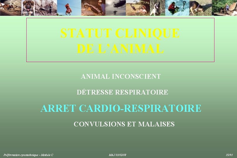 STATUT CLINIQUE DE L’ANIMAL INCONSCIENT DÉTRESSE RESPIRATOIRE ARRET CARDIO-RESPIRATOIRE CONVULSIONS ET MALAISES Préformation cynotechnique