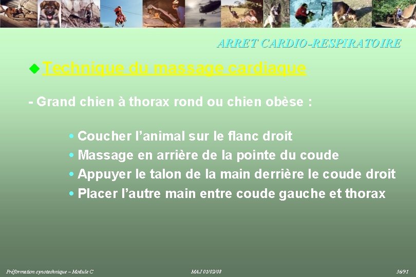 ARRET CARDIO-RESPIRATOIRE u Technique du massage cardiaque - Grand chien à thorax rond ou