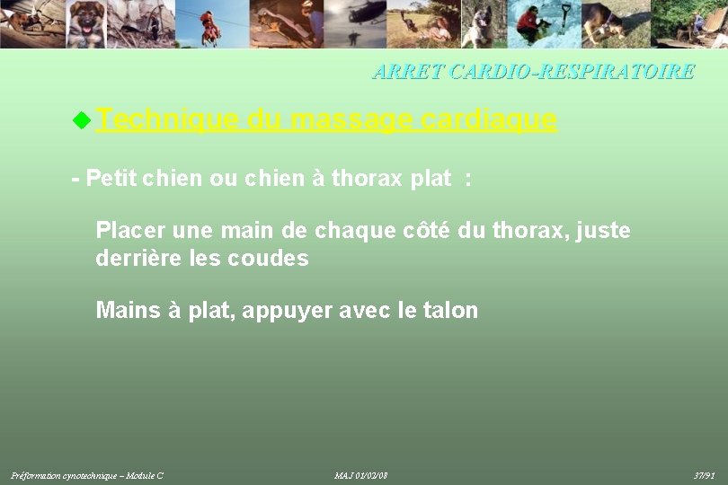 ARRET CARDIO-RESPIRATOIRE u Technique du massage cardiaque - Petit chien ou chien à thorax