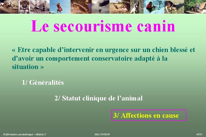 Le secourisme canin « Etre capable d’intervenir en urgence sur un chien blessé et