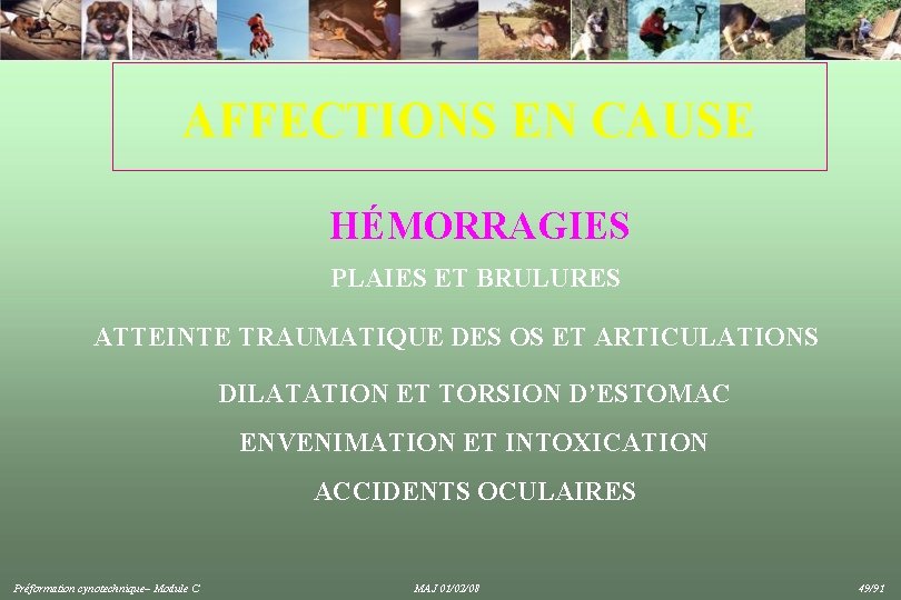 AFFECTIONS EN CAUSE HÉMORRAGIES PLAIES ET BRULURES ATTEINTE TRAUMATIQUE DES OS ET ARTICULATIONS DILATATION