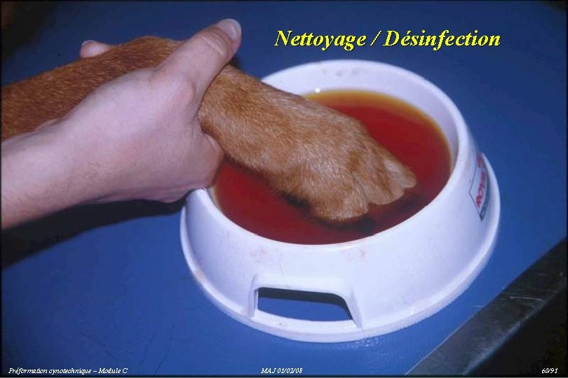 Nettoyage / Désinfection Préformation cynotechnique – Module C MAJ 01/02/08 60/91 