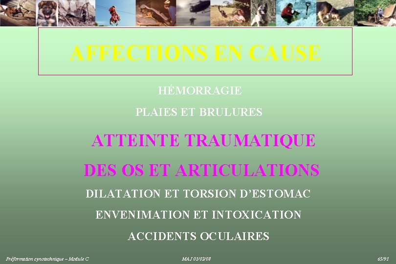 AFFECTIONS EN CAUSE HÉMORRAGIE PLAIES ET BRULURES ATTEINTE TRAUMATIQUE DES OS ET ARTICULATIONS DILATATION