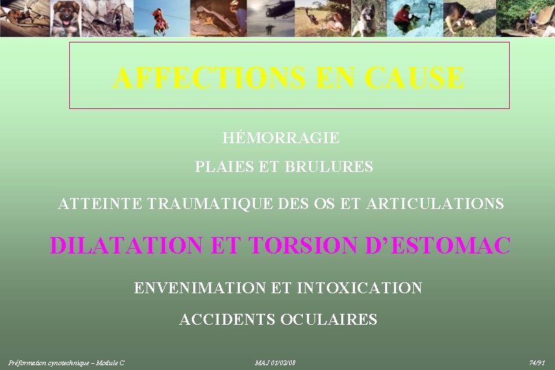 AFFECTIONS EN CAUSE HÉMORRAGIE PLAIES ET BRULURES ATTEINTE TRAUMATIQUE DES OS ET ARTICULATIONS DILATATION