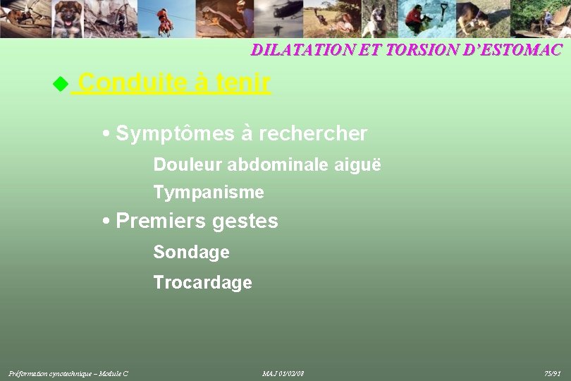 DILATATION ET TORSION D’ESTOMAC u Conduite à tenir • Symptômes à recher Douleur abdominale