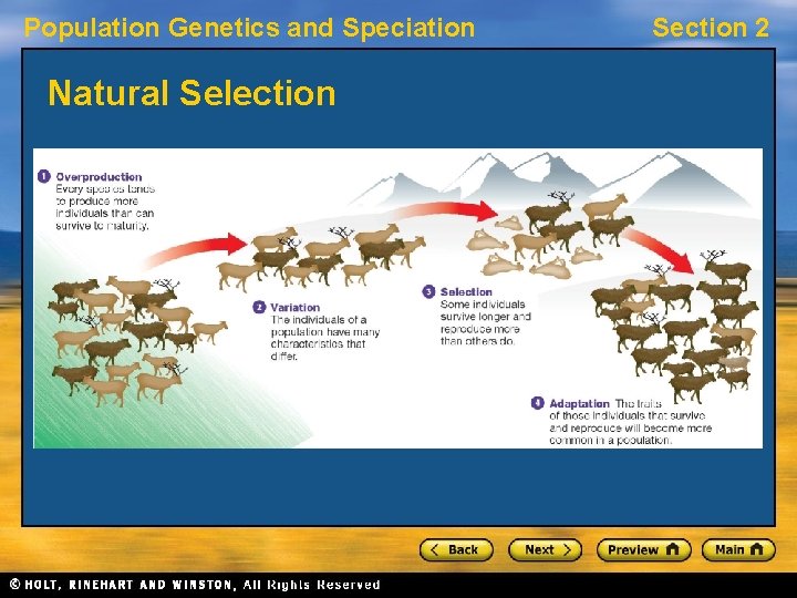 Population Genetics and Speciation Natural Selection Section 2 