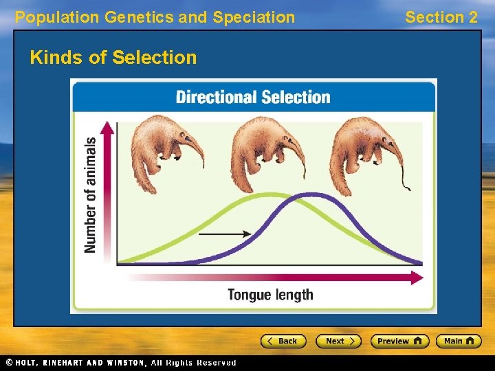 Population Genetics and Speciation Kinds of Selection Section 2 