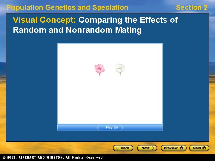 Population Genetics and Speciation Section 2 Visual Concept: Comparing the Effects of Random and