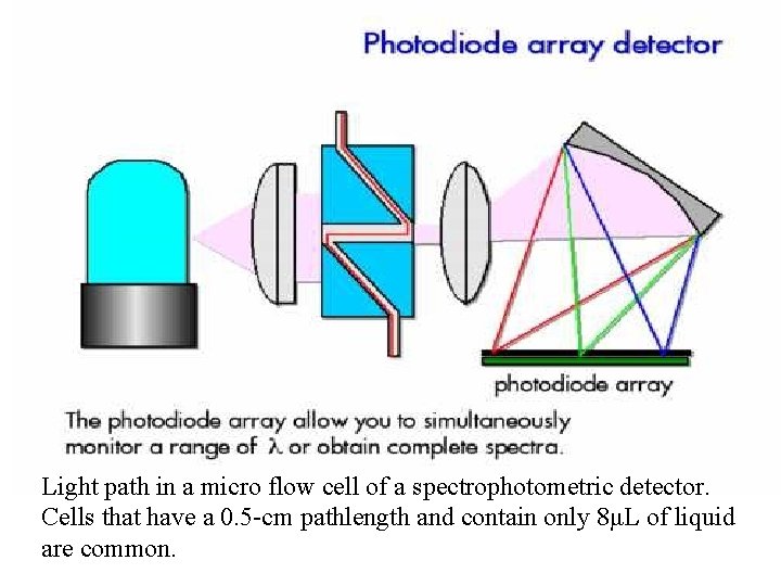 Light path in a micro flow cell of a spectrophotometric detector. Cells that have