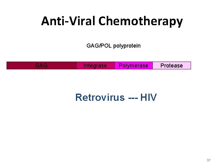 Anti-Viral Chemotherapy GAG/POL polyprotein GAG Integrase Polymerase Protease Retrovirus --- HIV 37 