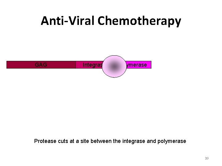 Anti-Viral Chemotherapy GAG Integrase Polymerase Protease cuts at a site between the integrase and