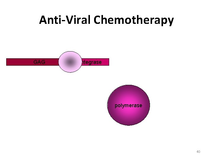 Anti-Viral Chemotherapy GAG Integrase polymerase 40 