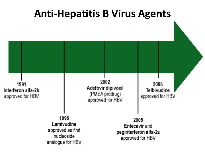 Figure 2. Timeline of evolution of HBV therapies, United States. Anti-Hepatitis B Virus Agents