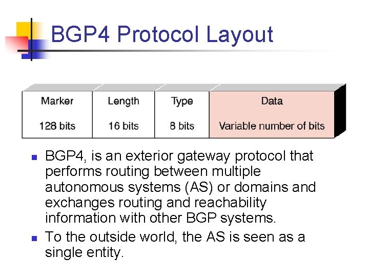 BGP 4 Protocol Layout n n BGP 4, is an exterior gateway protocol that