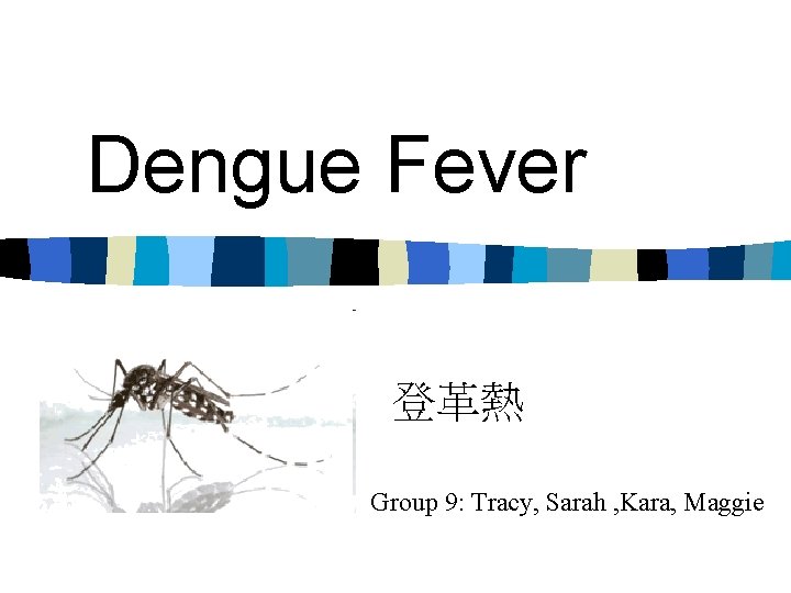 Dengue Fever 登革熱 Group 9: Tracy, Sarah , Kara, Maggie 