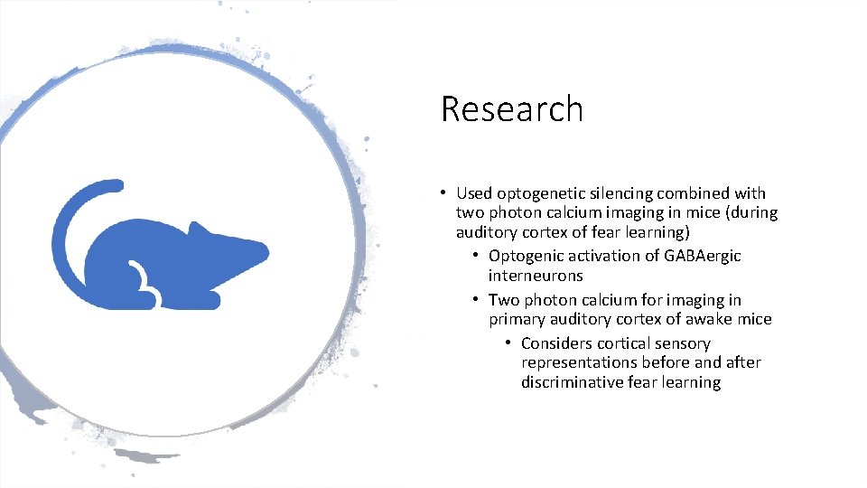 Research • Used optogenetic silencing combined with two photon calcium imaging in mice (during Research • Used optogenetic silencing combined with two photon calcium imaging in mice (during
