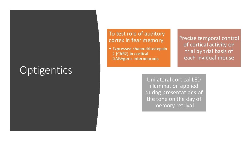 To test role of auditory cortex in fear memory: • Expressed channelrhodopsin 2 (Ch. To test role of auditory cortex in fear memory: • Expressed channelrhodopsin 2 (Ch.