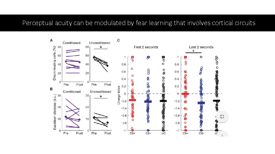 Perceptual acuity can be modulated by fear learning that involves cortical circuits Perceptual acuity can be modulated by fear learning that involves cortical circuits