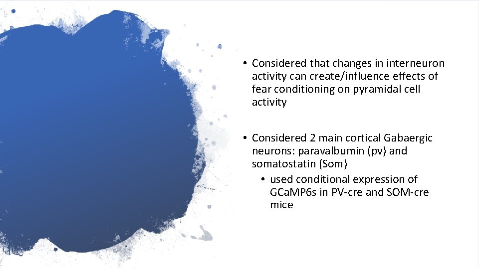 • Considered that changes in interneuron activity can create/influence effects of fear conditioning • Considered that changes in interneuron activity can create/influence effects of fear conditioning