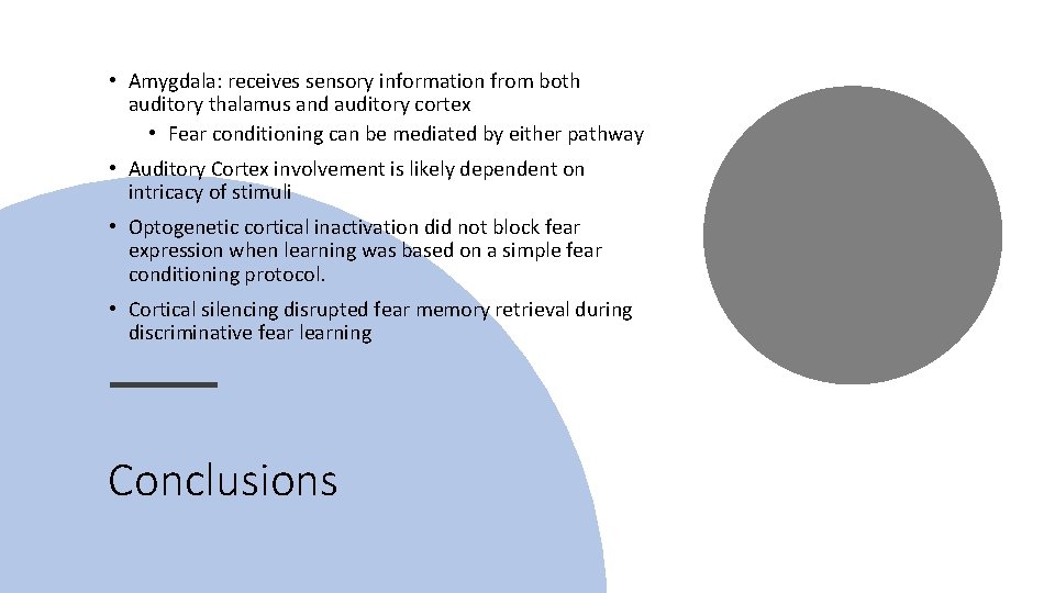 • Amygdala: receives sensory information from both auditory thalamus and auditory cortex • • Amygdala: receives sensory information from both auditory thalamus and auditory cortex •