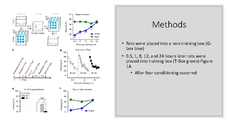 Methods • Rats were placed into a non-training box (Gbox blue) • 0. 5, Methods • Rats were placed into a non-training box (Gbox blue) • 0. 5,