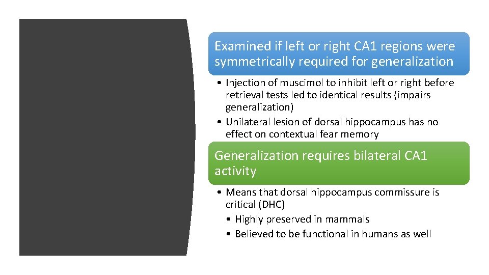Examined if left or right CA 1 regions were symmetrically required for generalization • Examined if left or right CA 1 regions were symmetrically required for generalization •