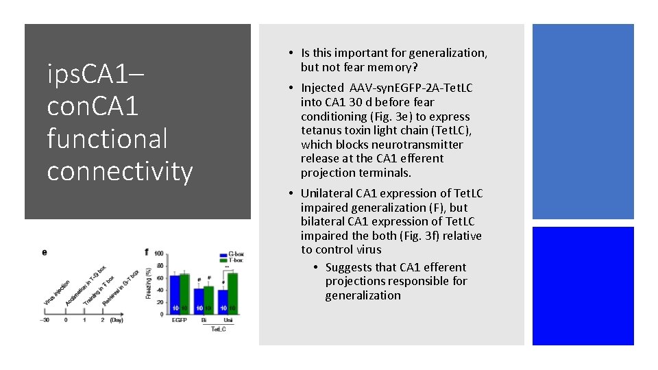 ips. CA 1– con. CA 1 functional connectivity • Is this important for generalization, ips. CA 1– con. CA 1 functional connectivity • Is this important for generalization,