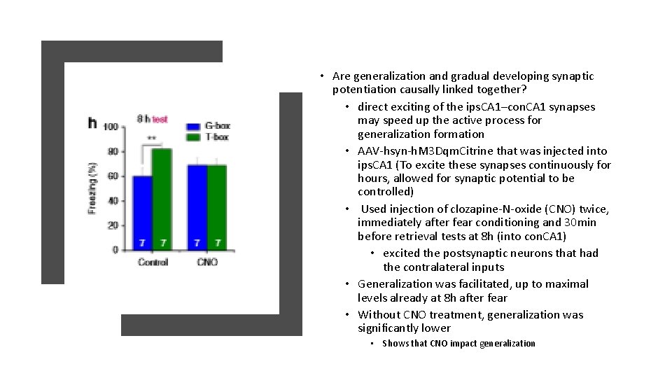 • Are generalization and gradual developing synaptic potentiation causally linked together? • direct • Are generalization and gradual developing synaptic potentiation causally linked together? • direct