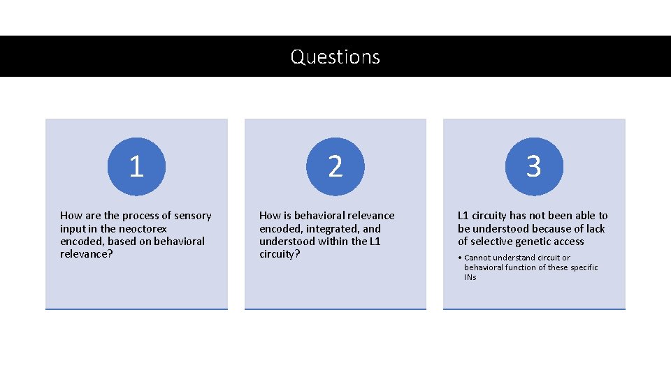 Questions 1 How are the process of sensory input in the neoctorex encoded, based Questions 1 How are the process of sensory input in the neoctorex encoded, based